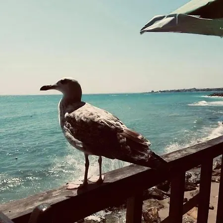 شقة Panorama نيسيبار